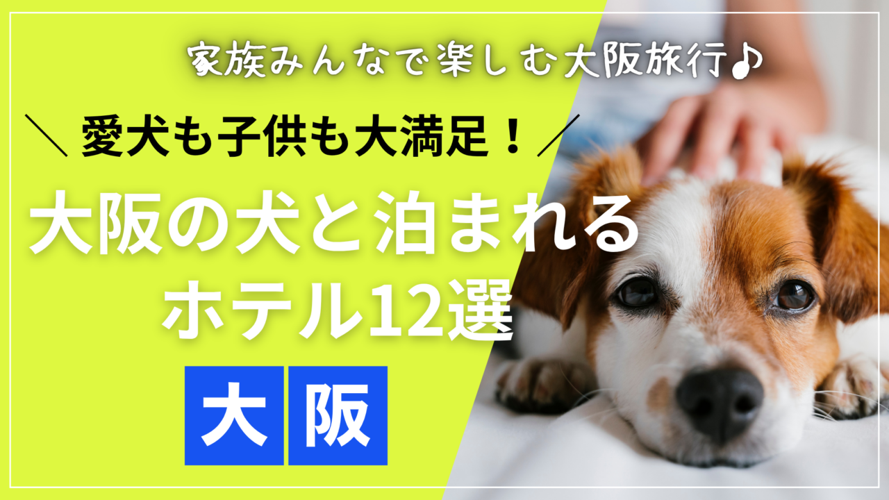 W大阪の犬と泊まれるドッグフレンドリールームの様子