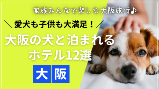 W大阪の犬と泊まれるドッグフレンドリールームの様子
