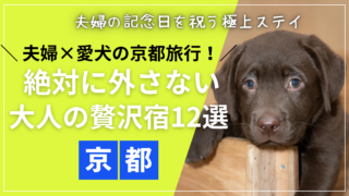 京都で犬と泊まれるおすすめのホテルで、愛犬と一緒にくつろぐ夫婦の様子
