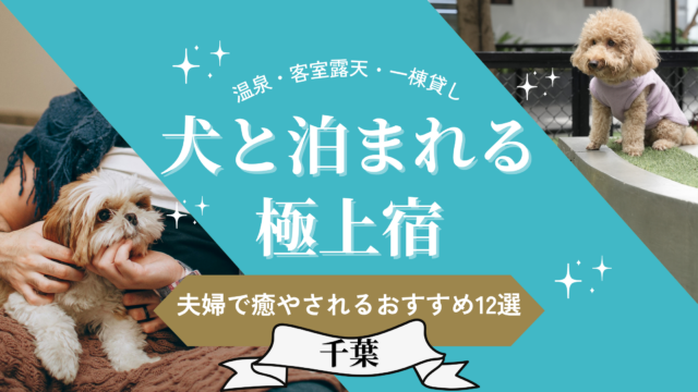 千葉県で犬と泊まれるおすすめホテル12選を紹介するアイキャッチ画像。夫婦での癒やし旅行に最適な極上宿を厳選。