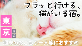 東京からアクセスできる、一人旅におすすめの猫がいる宿12選のイメージ