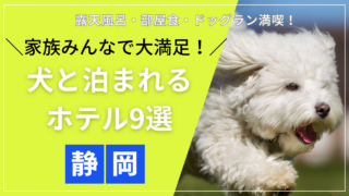 静岡県で犬と泊まれる家族旅行におすすめのホテル