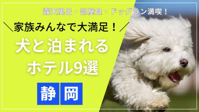静岡県で犬と泊まれる家族旅行におすすめのホテル