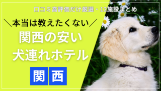 関西で犬と泊まれる安いおすすめホテル・宿12選