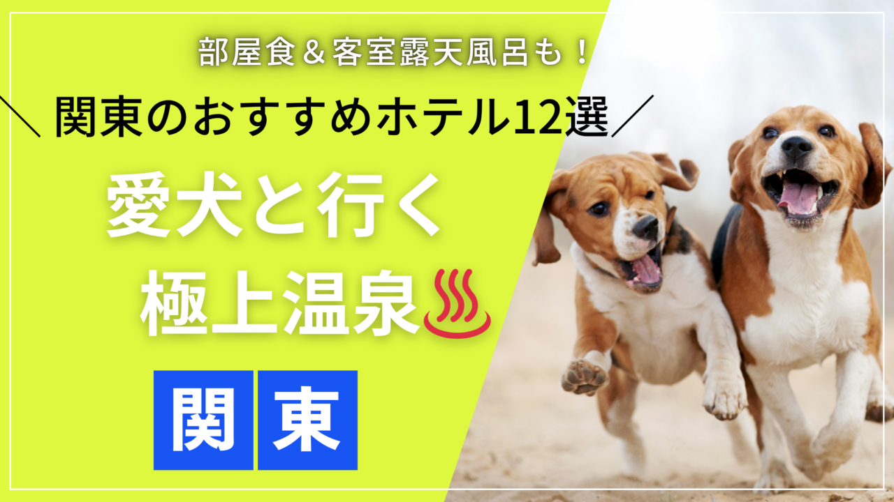 関東の温泉を満喫できる犬と泊まれるおすすめホテル