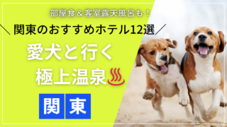 関東の温泉を満喫できる犬と泊まれるおすすめホテル