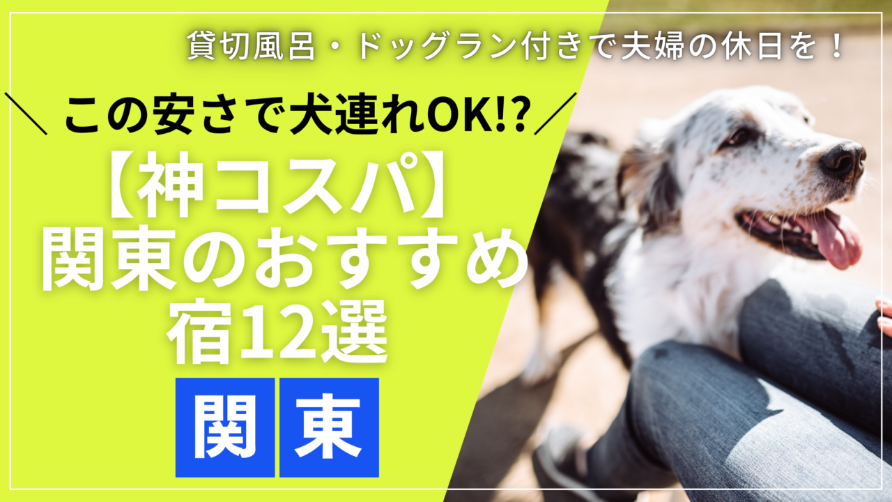 関東で犬と泊まれる安いホテルの客室で、愛犬と一緒にくつろぐ夫婦の様子