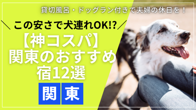 関東で犬と泊まれる安いホテルの客室で、愛犬と一緒にくつろぐ夫婦の様子