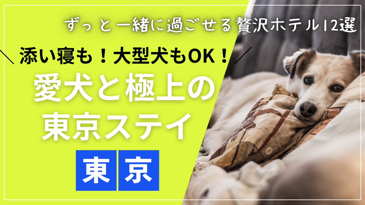 添い寝や大型犬もOK！東京で犬と泊まれるおすすめホテル12選のアイキャッチ画像