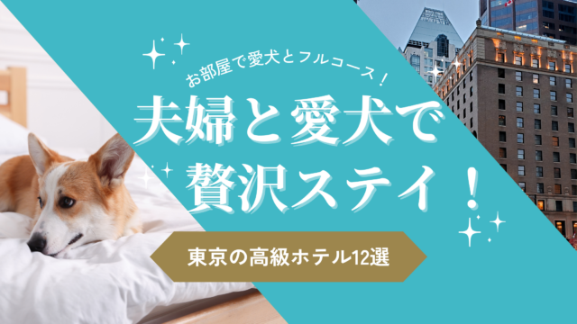 東京の犬と泊まれる高級ホテルでくつろぐ夫婦と愛犬