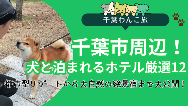 千葉市周辺の犬と泊まれるホテルおすすめ12選