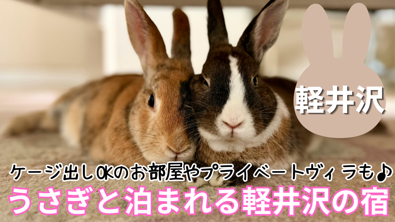 うさぎと泊まれる宿！軽井沢で大切なペットと過ごすおすすめ9選