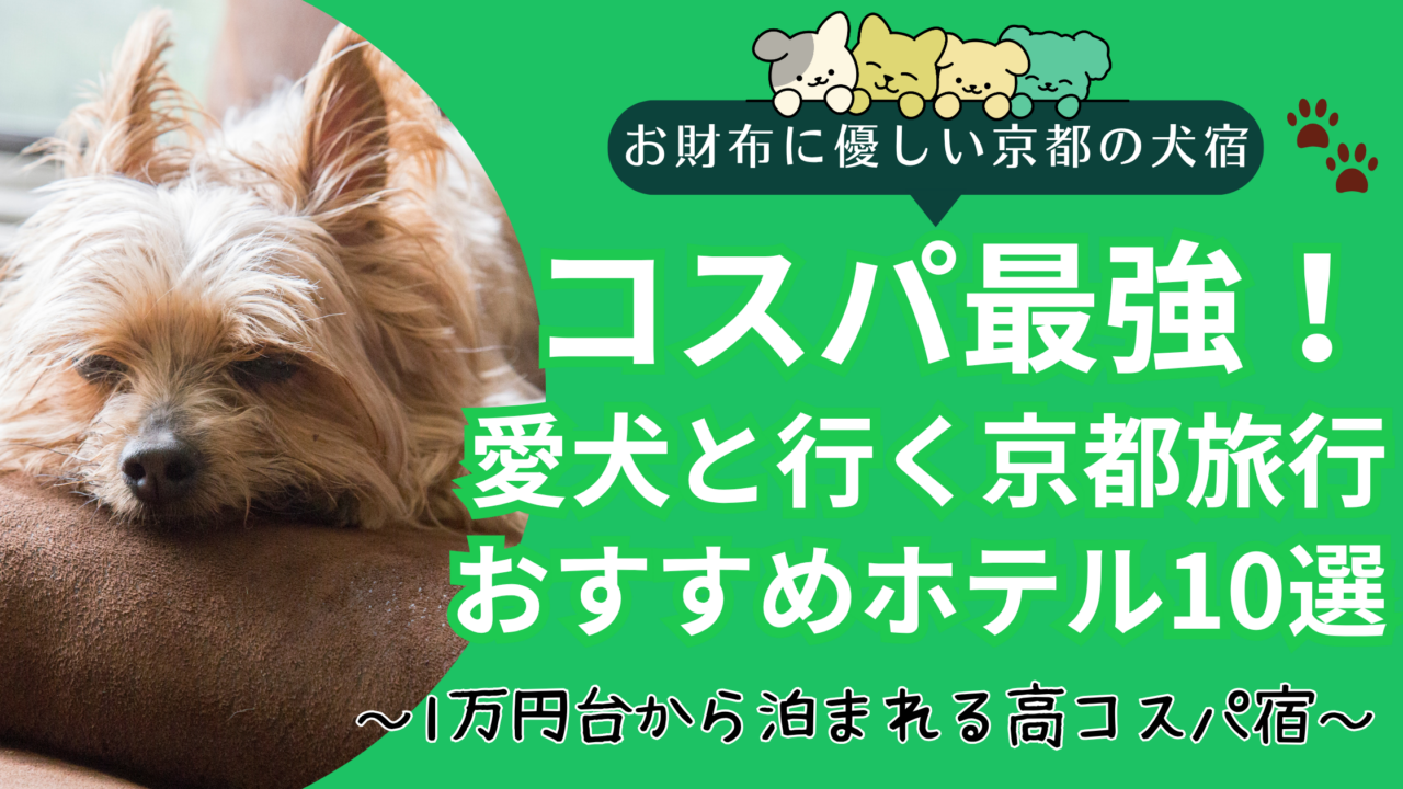 京都で犬と泊まれる安いホテル