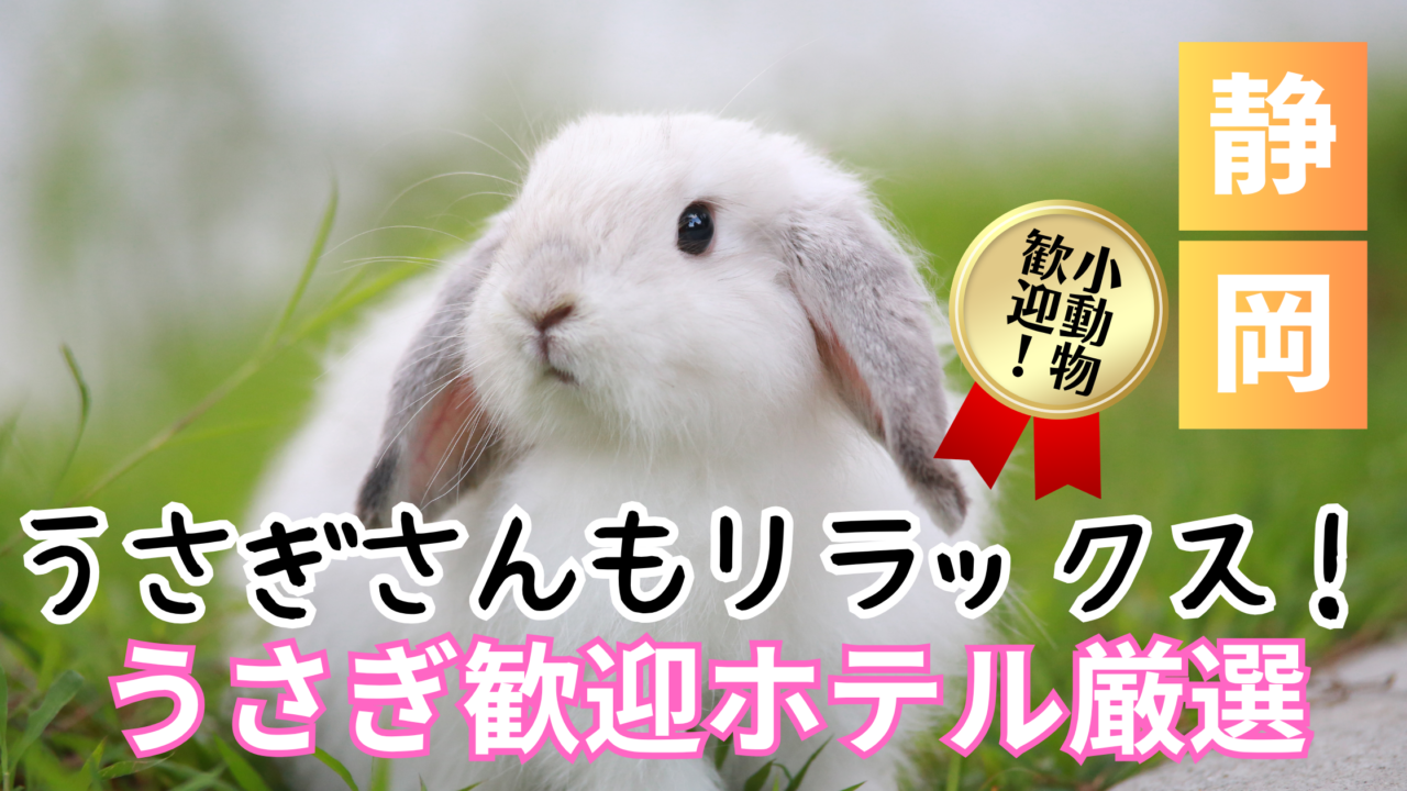 静岡のうさぎと泊まれる宿おすすめ9選
