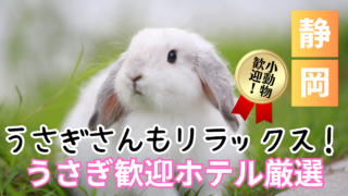 静岡のうさぎと泊まれる宿おすすめ9選