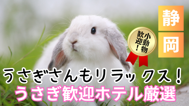 静岡のうさぎと泊まれる宿おすすめ9選