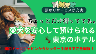 預かり対応の東京犬と泊まれるホテル！愛犬とのお留守番も安心のおすすめ11選