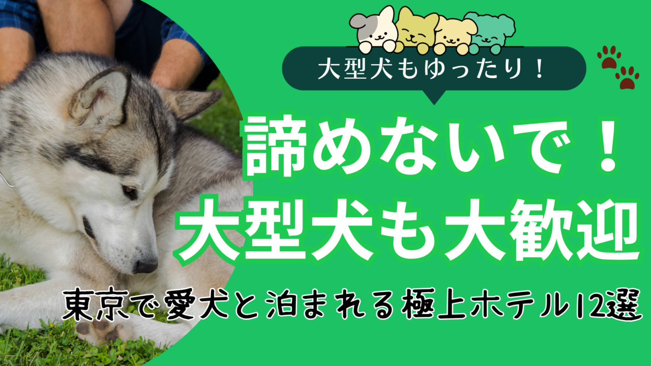 東京で大型犬と泊まれるおすすめホテルのイメージ画像
