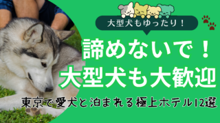 東京で大型犬と泊まれるおすすめホテルのイメージ画像