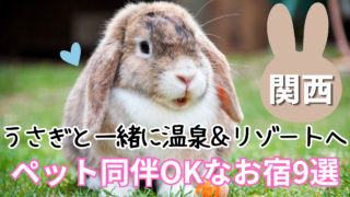 うさぎと泊まれる宿 関西のおすすめ9選