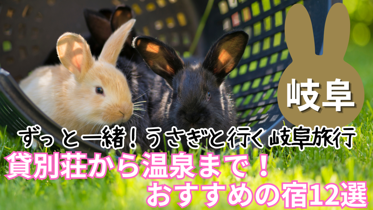 岐阜の大自然の中でうさぎと泊まれる宿のイメージ画像