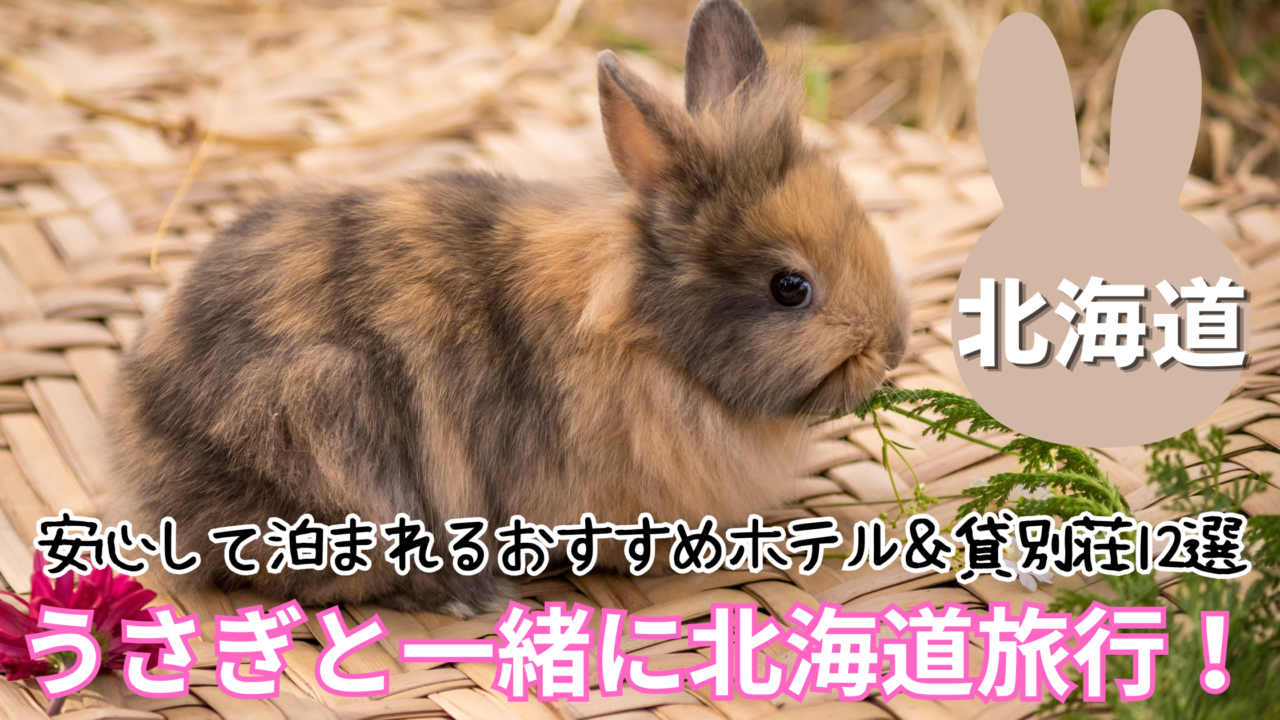 北海道でうさぎと泊まれる宿・コテージのおすすめ12選