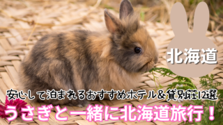 北海道でうさぎと泊まれる宿・コテージのおすすめ12選