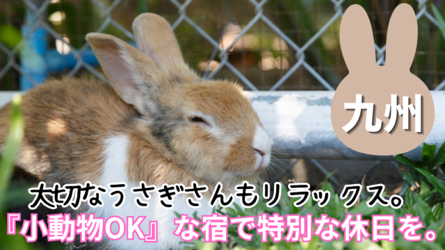 九州のうさぎと泊まれる宿を徹底解説！