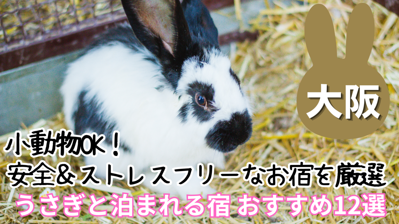 大阪でうさぎと泊まれる宿おすすめ12選
