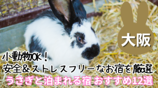 大阪でうさぎと泊まれる宿おすすめ12選