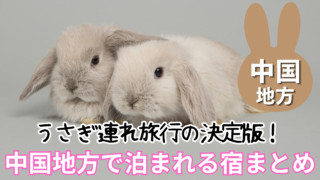 中国地方でうさぎと泊まれるおすすめの宿9選