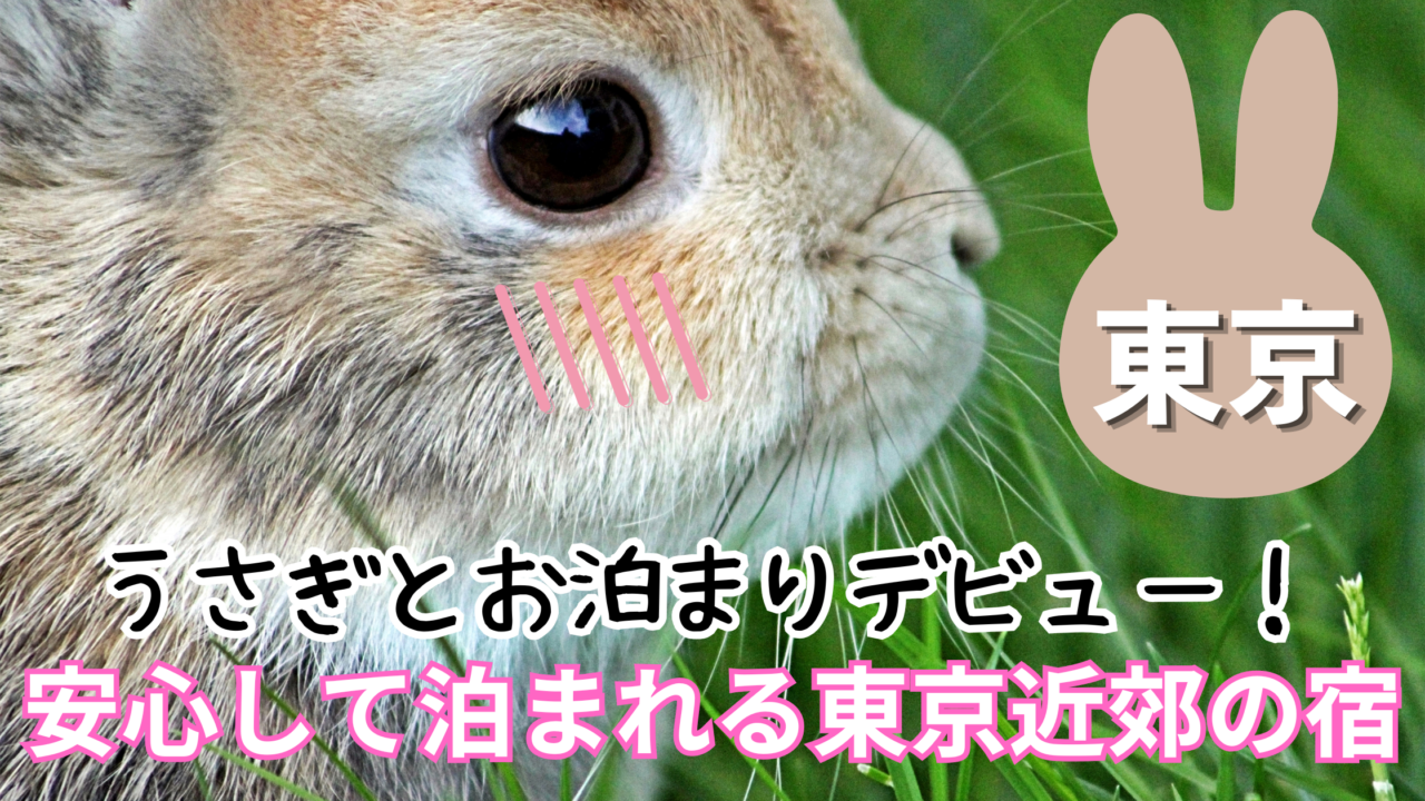 うさぎと泊まれる東京近郊のおすすめ宿12選