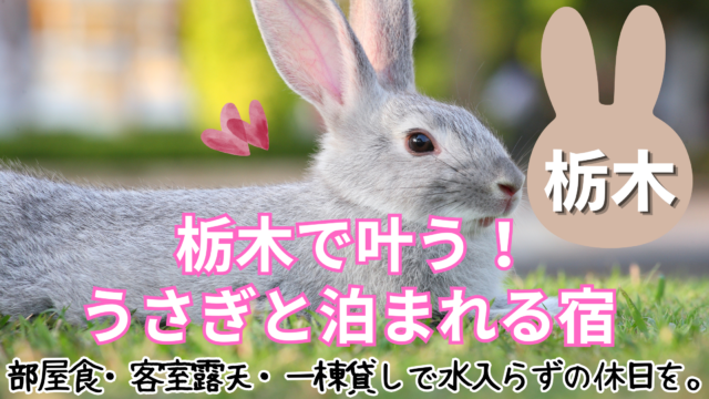 栃木で叶う！ うさぎと泊まれる宿