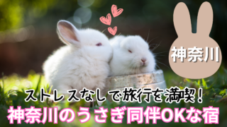 うさぎと泊まれる宿 神奈川のおすすめ9選！