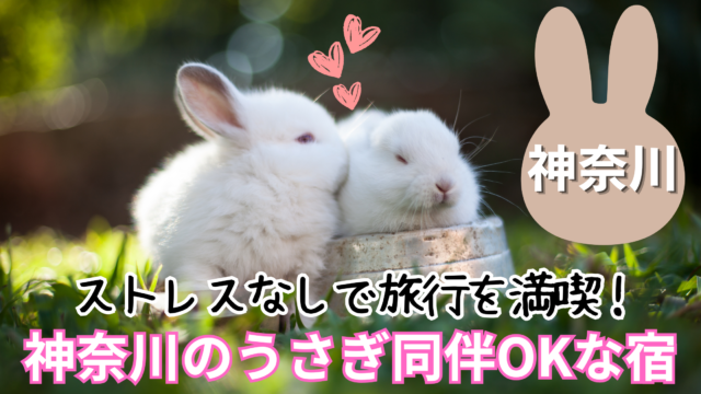 うさぎと泊まれる宿 神奈川のおすすめ9選！