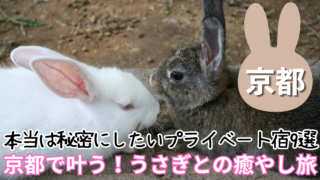 うさぎと一緒に泊まれる京都周辺のおすすめ宿