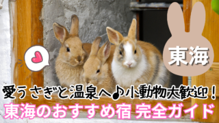 うさぎと泊まれる宿 東海エリアの温泉自慢おすすめ